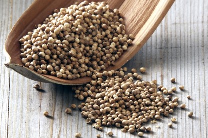 7 Surprising Coriander Uses for Your Health: From Fighting Cholesterol to Treating Diabetes and More