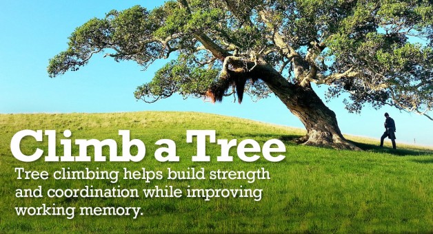 Tree climbing helps build strength and coordination while improving working memory.